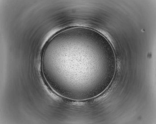 X0000090991131200708091513