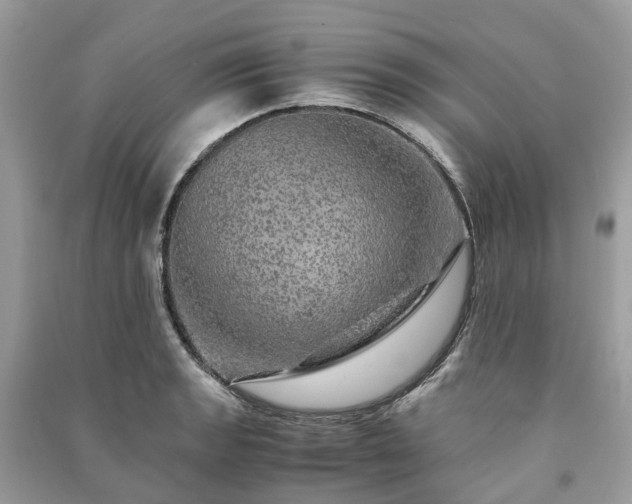 X0000090991133200708091513