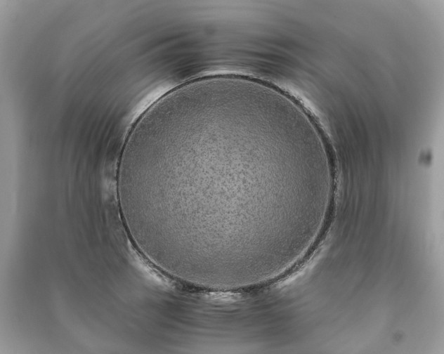 X0000090991137200708091513