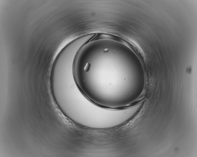 X0000090991138200708091513