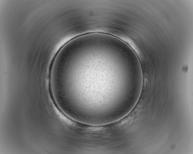 X0000090991143200708091513