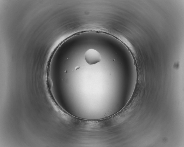 X0000090991144200708091513