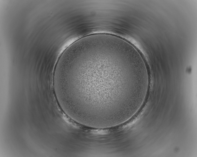 X0000090991145200708091513