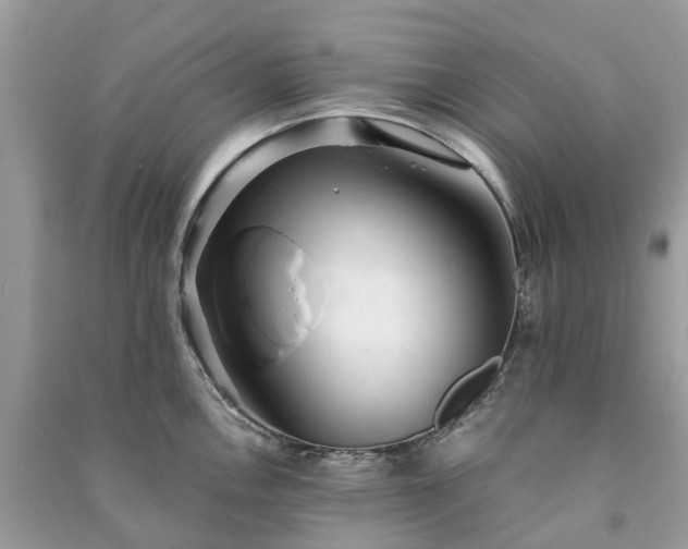 X0000090991146200708091513