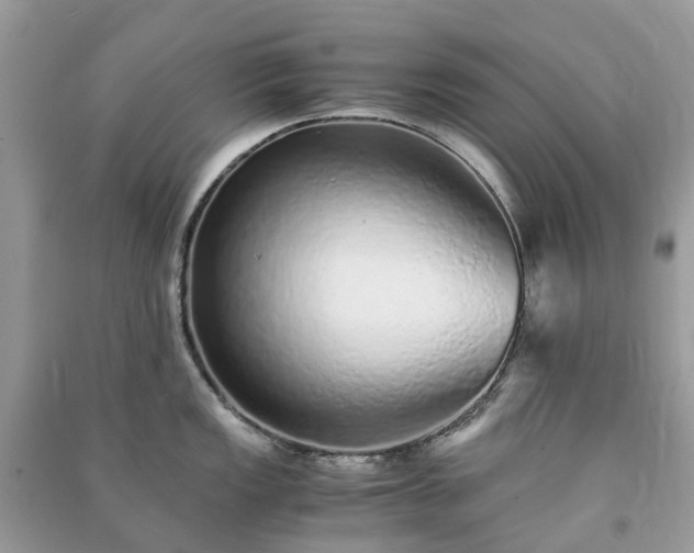 X0000090991149200708091513