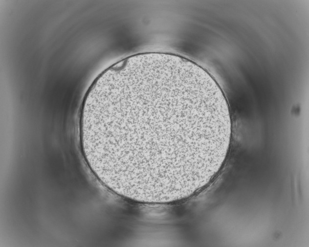 X0000090991150200708091513