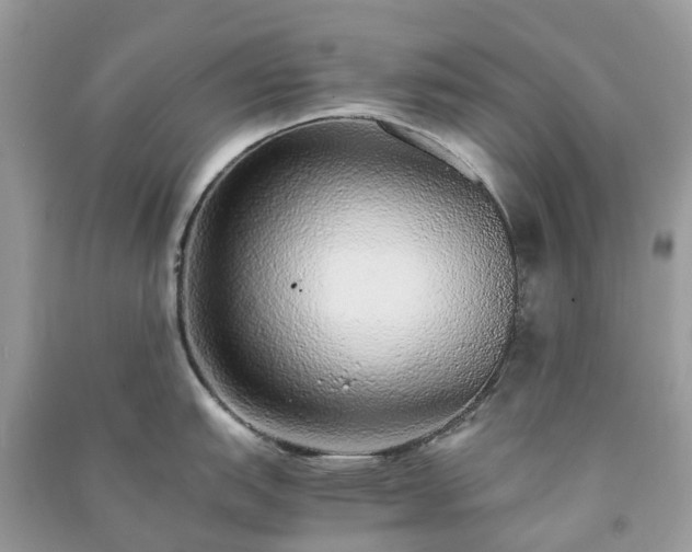 X0000090991151200708091513