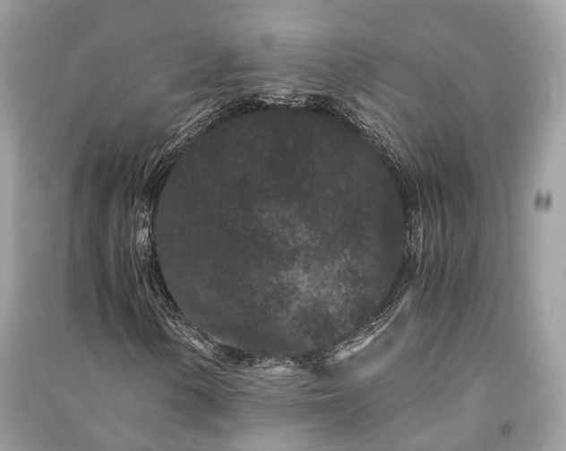 X0000090991154200708091513