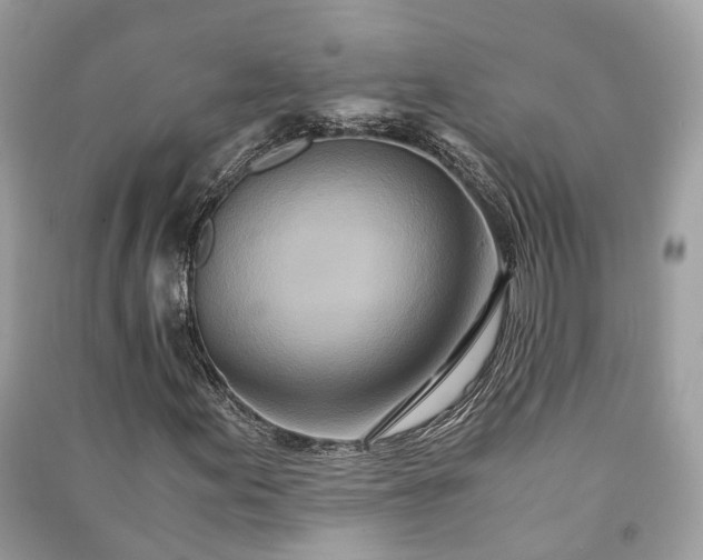 X0000090991155200708091513