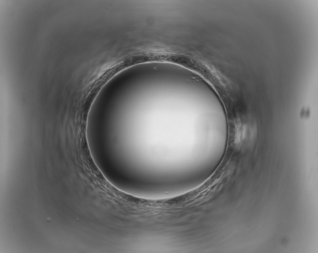 X0000090991157200708091513