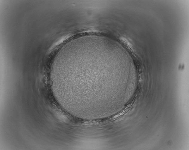 X0000090991159200708091513