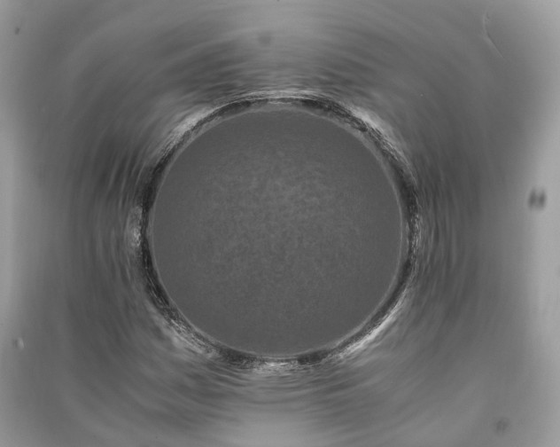 X0000090991161200708091513