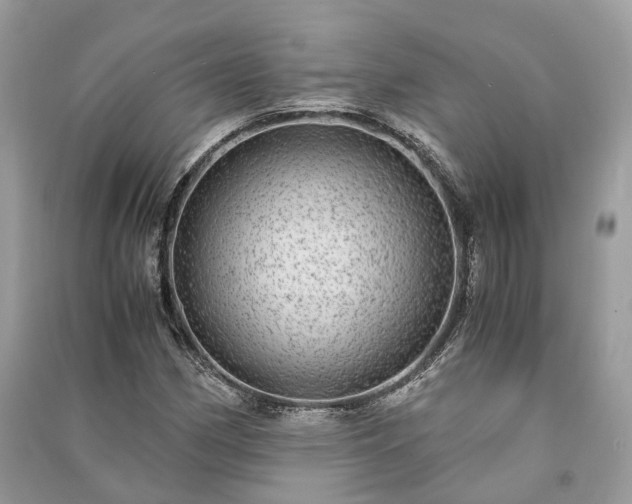 X0000090991162200708091513