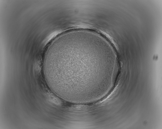 X0000090991163200708091513