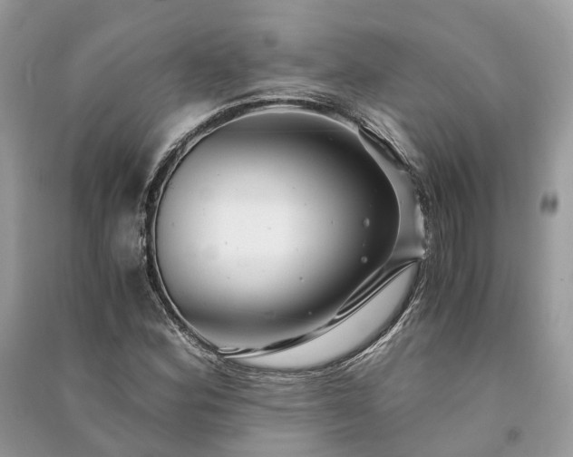 X0000090991164200708091513