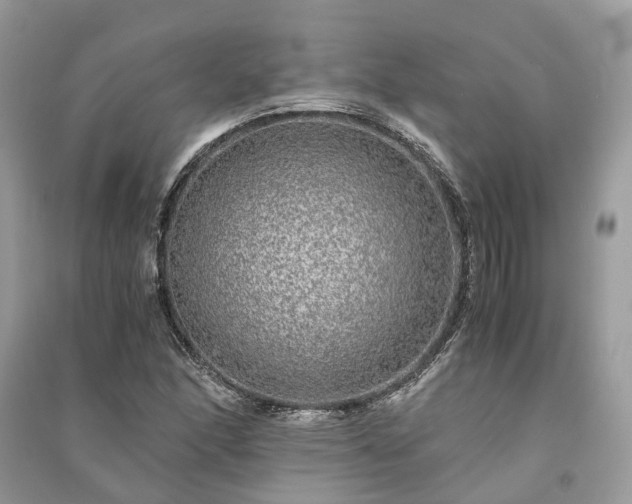 X0000090991166200708091513