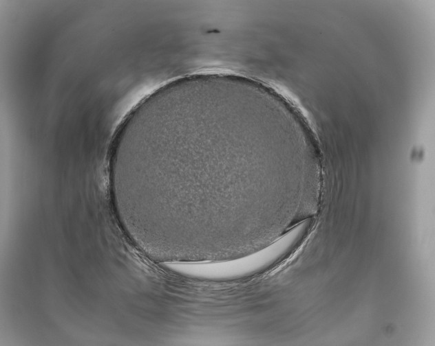 X0000090991167200708091513