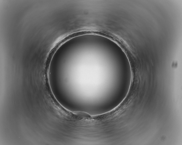 X0000090991168200708091513