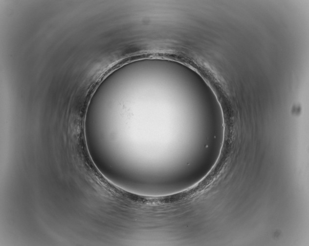 X0000090991169200708091513