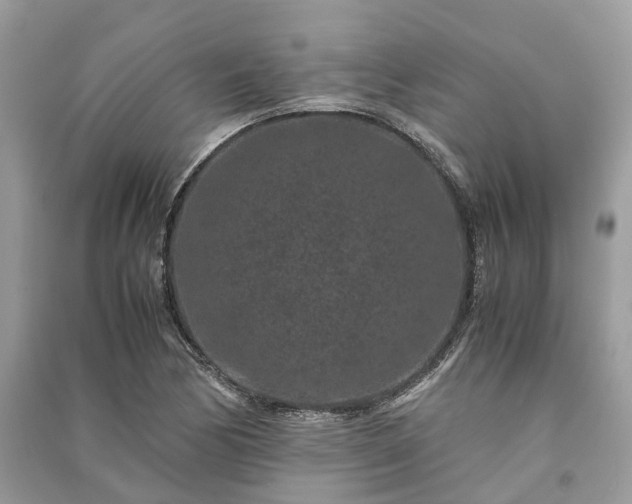 X0000090991170200708091513