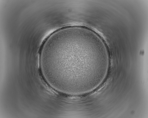 X0000090991171200708091512