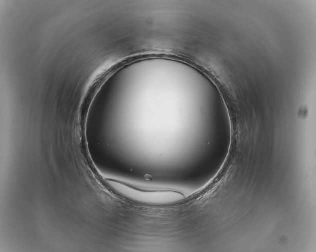 X0000090991172200708091512