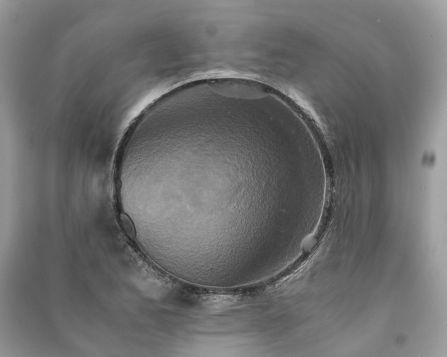 X0000090991173200708091512