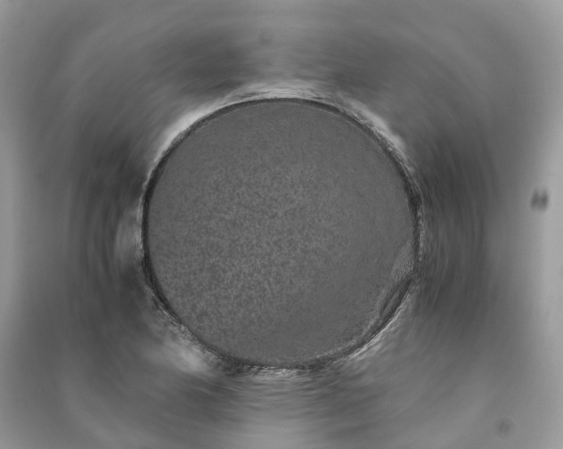 X0000090991174200708091512