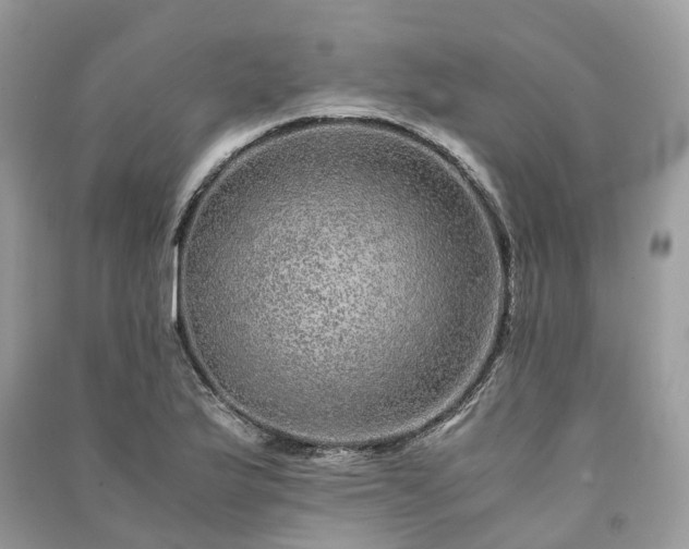 X0000090991175200708091512