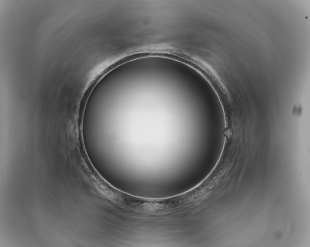 X0000090991176200708091512