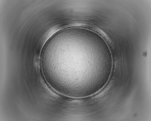 X0000090991178200708091512