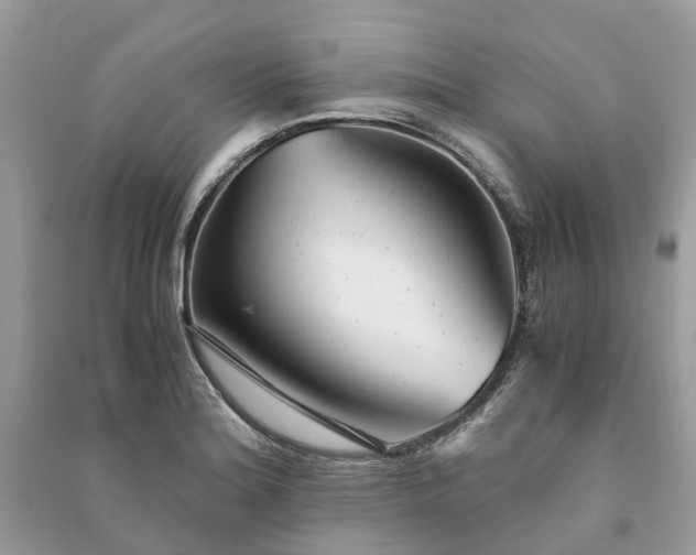 X0000090991180200708091512