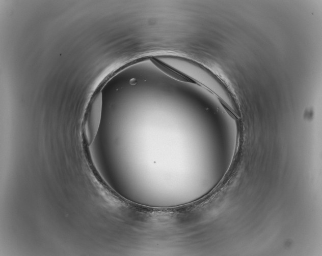 X0000090991181200708091512