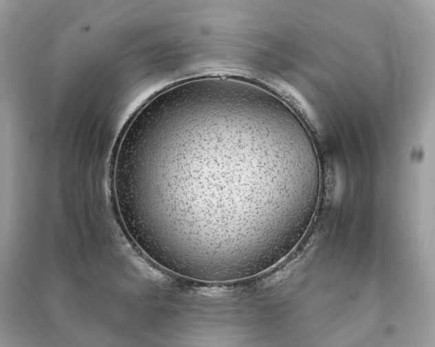 X0000090991182200708091512