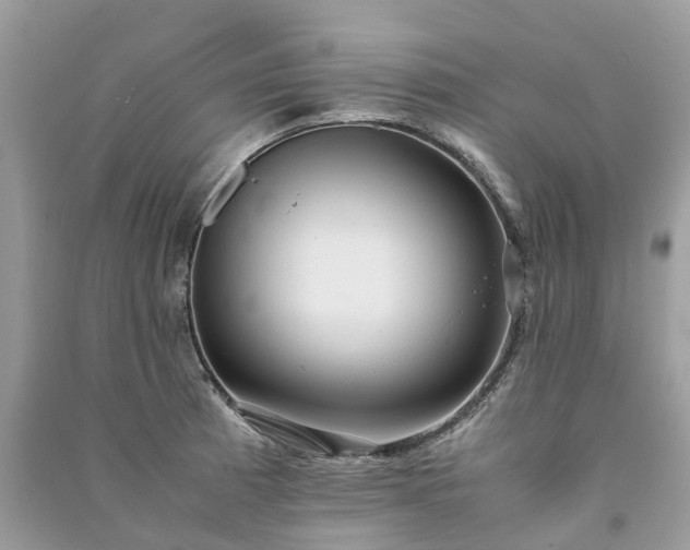 X0000090991185200708091512