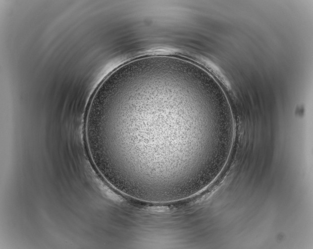 X0000090991186200708091512