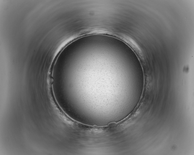 X0000090991190200708091512