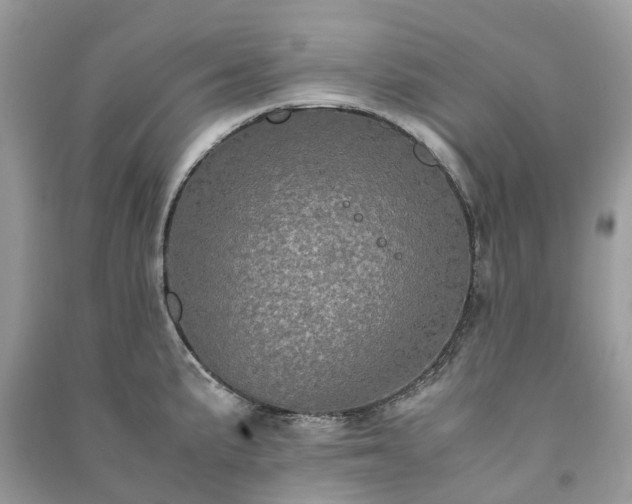 X0000090991191200708091512