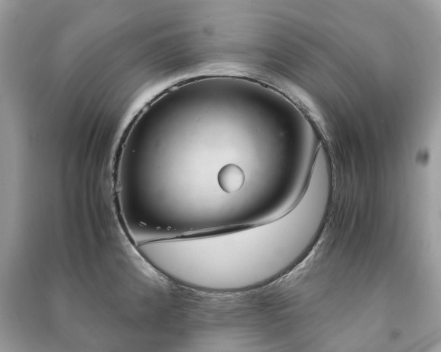 X0000090991192200708091512