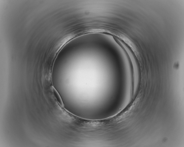 X0000090991193200708091512