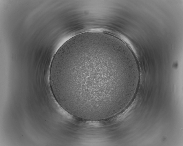 X0000090991194200708091512