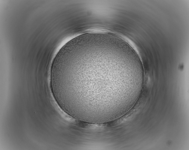 X0000090991195200708091512