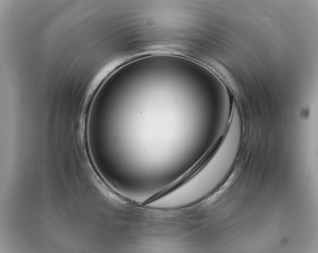 X0000090991196200708091512