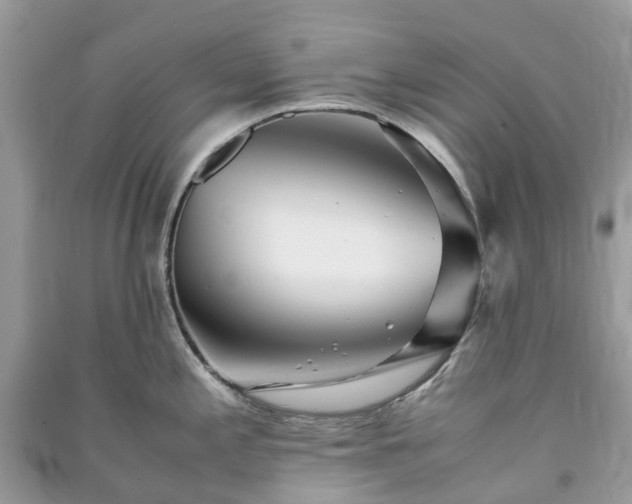 X0000090991197200708091512