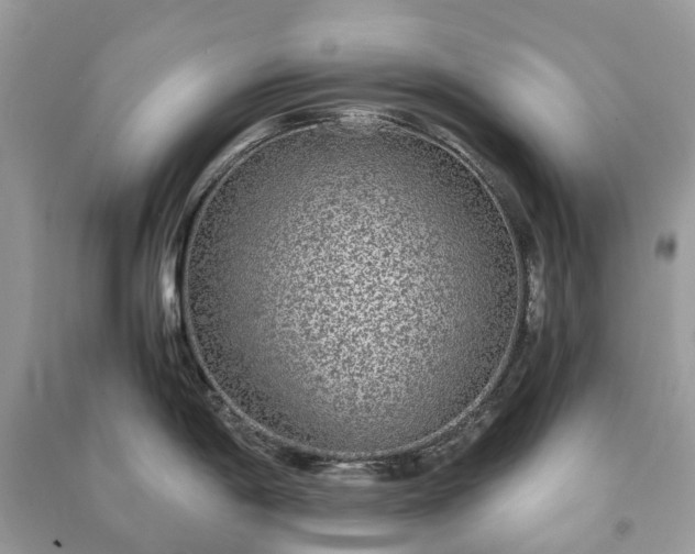 X0000090991198200708091512