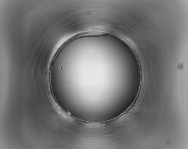 X0000090991200200708091512