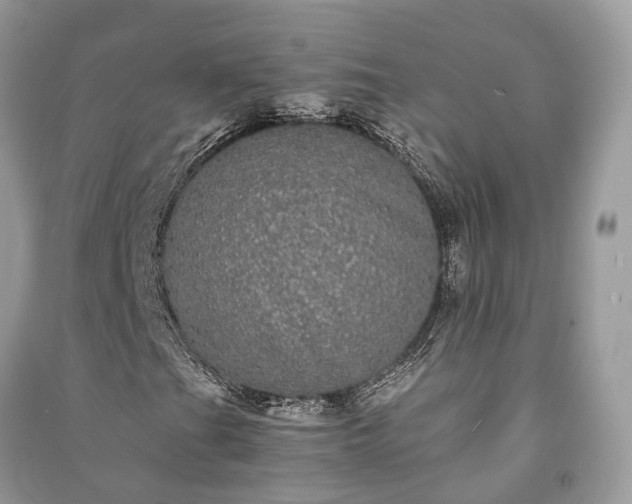 X0000090991201200708091512