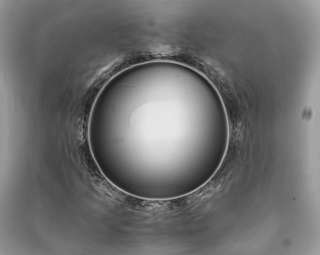 X0000090991205200708091512