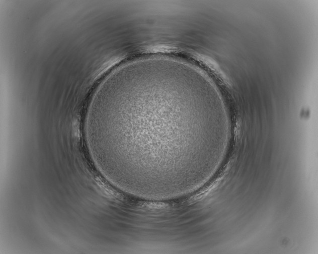 X0000090991209200708091512