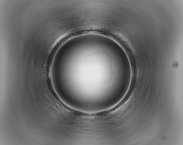 X0000090991210200708091512